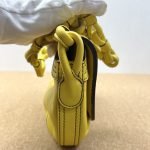 99% New LOEWE Amazona Small Shoulder Bag