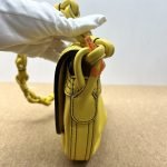 99% New LOEWE Amazona Small Shoulder Bag